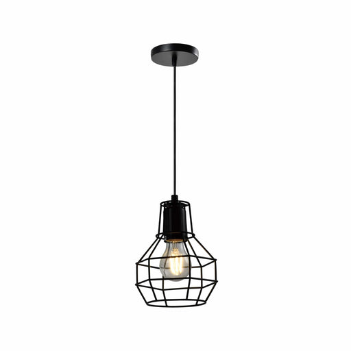QUVIO Hanglamp industrieel - Draadlamp bol - D 15 cm - Zwart