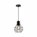 QUVIO Hanglamp industrieel - Draadlamp bol - D 15 cm - Zwart
