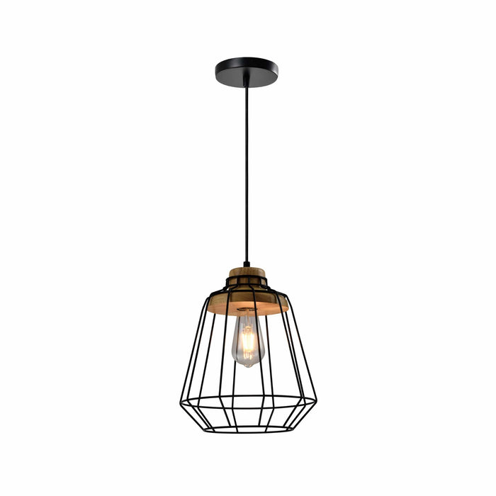 QUVIO Hanglamp landelijk - Draadlamp - Stalen kooi - D 25 cm - Zwart