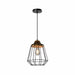 QUVIO Hanglamp landelijk - Draadlamp - Stalen kooi - D 25 cm - Zwart