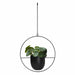 QUVIO Bloempot hangend - Metaal - Diameter pot 14 cm