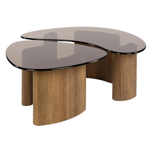 Nest of Nora Salontafel Arlen - Organische vormen set van 2 - Brons glas