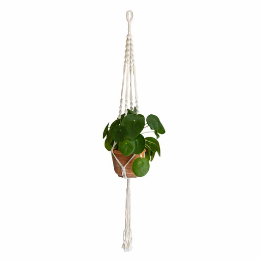 QUVIO Plantenhanger voor bloempot - Gevlochten touw