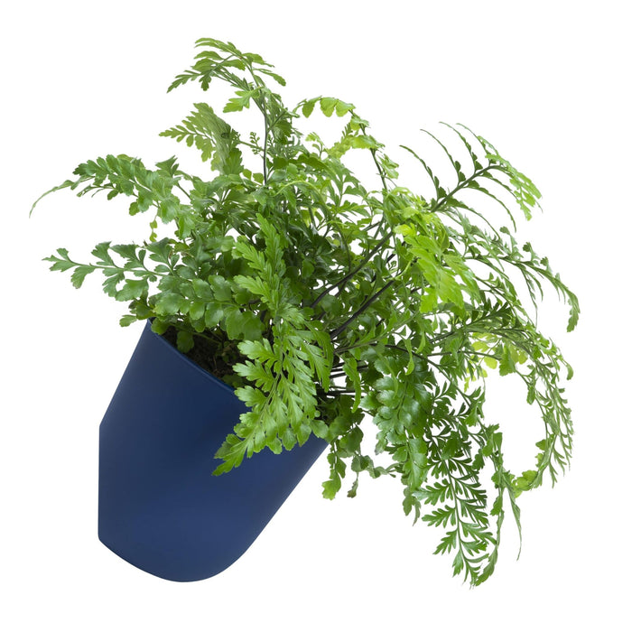 QUVIO Bloempot voor aan de wand - Diameter 15 cm - Donkerblauw