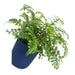 QUVIO Bloempot voor aan de wand - Diameter 15 cm - Donkerblauw