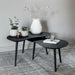 DTP Home Organische Salontafel Organus Teakhout, Set van 2 stuks - Zwart