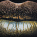Wandkleed Glamour Kiss - zwart velvet wanddoek - ThatLyfeStyle