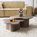 By-Boo Organische Salontafel Fall Mangohout, Set van 2 stuks - Bruin - Japandi