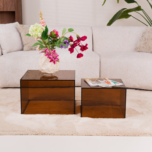 Bendt Salontafel Flavian Glas, Set van 2 stuks - Bruin - Vierkant - ThatLyfeStyle