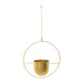 QUVIO Bloempot hangend - Metaal - Goud