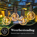 Homèlle Lichtsnoer - 25 LED - 7.5 meter - Warm-wit - Tuinverlichting - Kerstverlichting - Buitenverlichting - Lichtslinger - Lampjes slinger - Transparant - ThatLyfeStyle